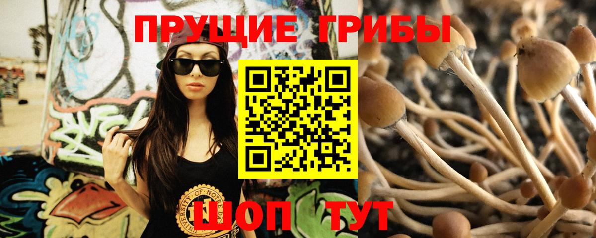 наркотики  Вход с VPN  Новосибирск  Галлюциногенные грибы Cubensis 